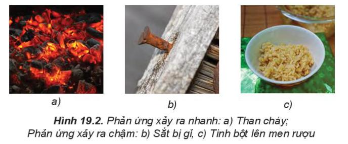 Lý thuyết bài 16: Tốc độ phản ứng hóa học</>