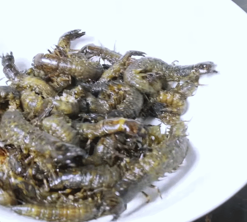 sâu đá Nếm.gif