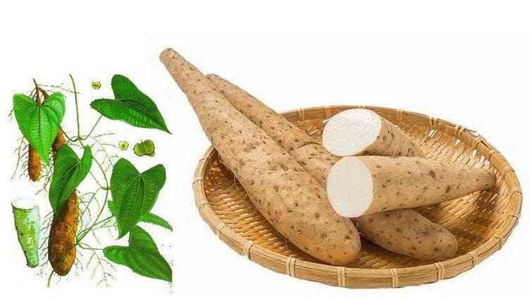 Trong đông y hoài sơn có tác dụng trong điều trị một số bệnh lý khác nhau