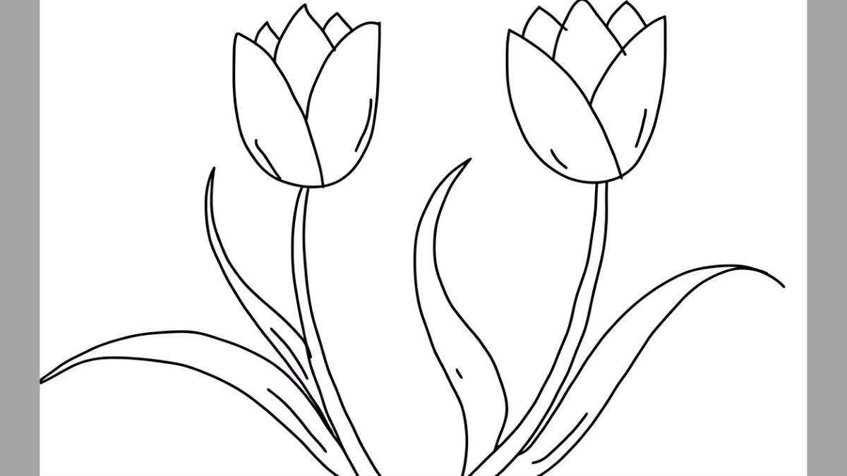 Vẽ hoa tulip chi tiết bước 1
