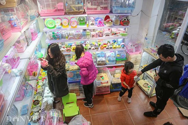 Hình ảnh chuột hamster bất ngờ đắt khách mua dịp Tết Canh Tý