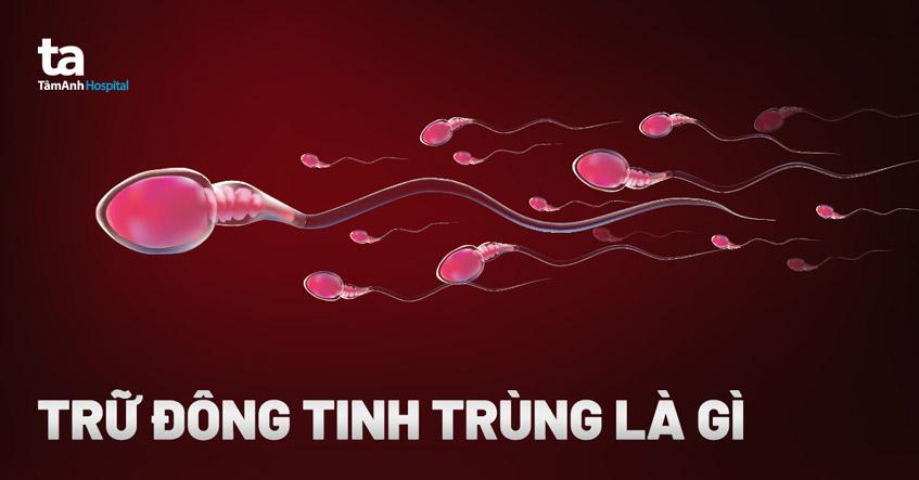 trữ đông tinh trùng là gì