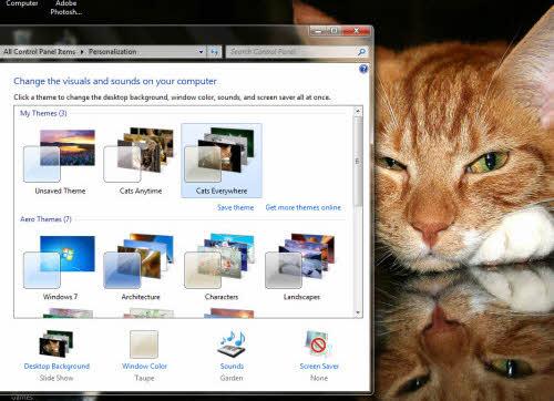 Giao diện Windows dành cho người yêu Mèo - 2