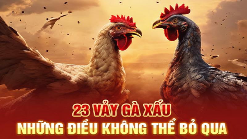 Vảy gà xấu là gì?